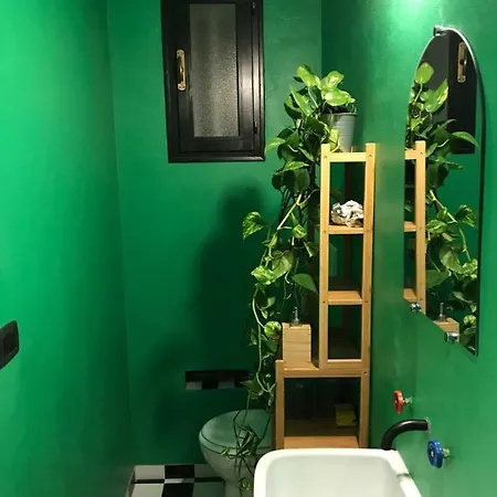 Music Apartment