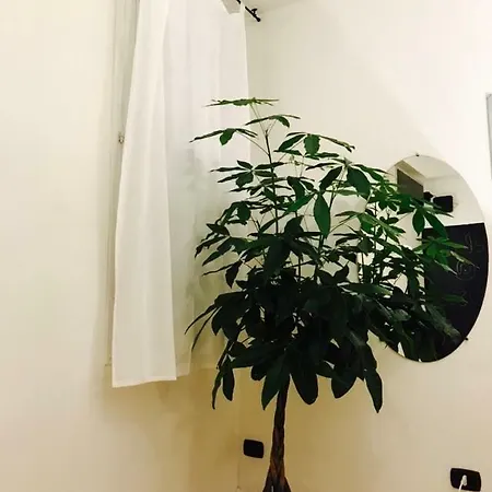Music Apartment *